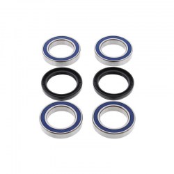 kit-cojinetes-y-retenes-buje-trasero-allballs-25-1456-yfz-450-04-05