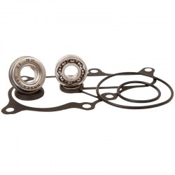 kit-reparacion-bomba-agua-hot-rods-yamaha-raptor-700-06-21